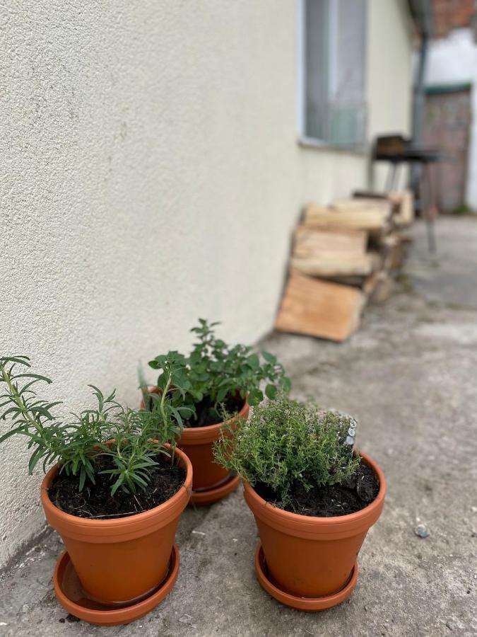 Wiejska Chatka Darlowo Exterior foto